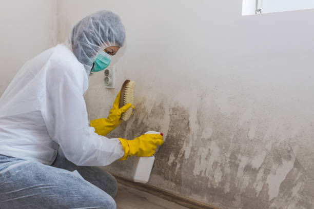 Best HVAC Mold Inspection and Cleaning  in Crest, CA