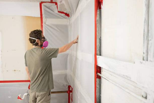 Best Mold Remediation for Vacation Homes  in Crest, CA