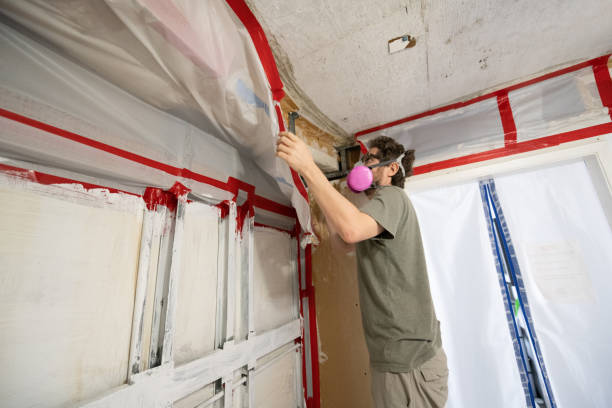 Best Water Damage & Mold Remediation  in Crest, CA