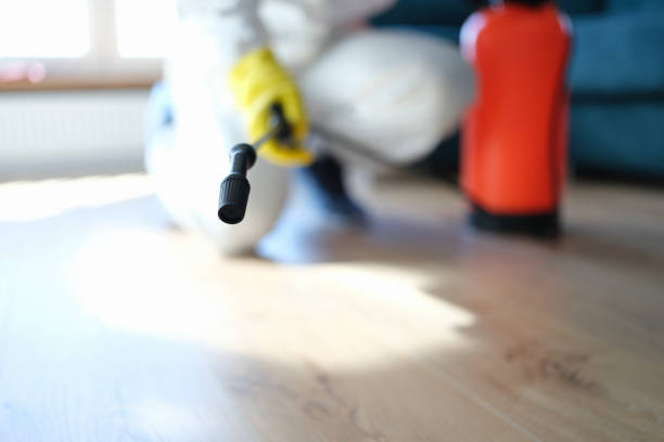 Best Air Quality Testing for Mold Spores  in Crest, CA