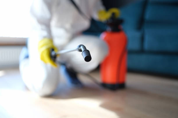 Best Indoor Air Quality Assessment  in Crest, CA