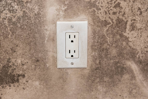 Mold Remediation for Vacation Homes in Crest, CA